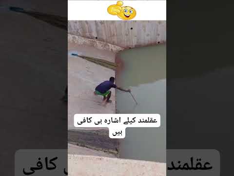 funny video| | بیوقوفی کی حدیں! ایسی حرکتیں دیکھ کر آپ حیران رہ جائیں گے | fun time | Awareness Hub