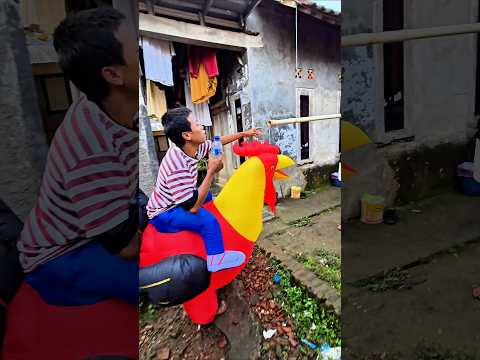 rembo ngasih minum rambo  lewat peralon