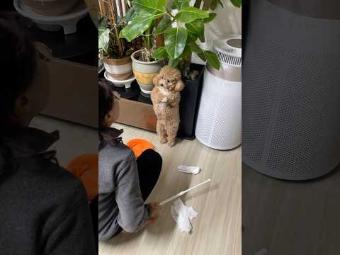 엄마한테 혼나는 토리꾼..ㅋㅋㅋㅋ