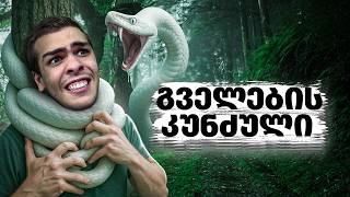 რა მოხდა გველების კუნძულზე?!