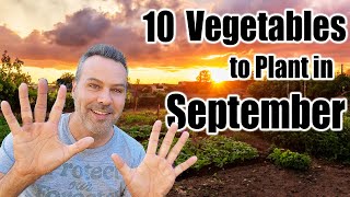 10 Crops to Direct Sow in September, Wherever You Live!