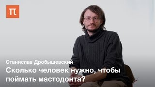 видео