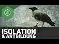isolation-artbildung/