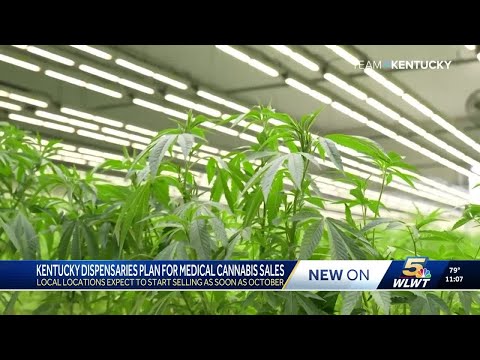 YouTube video thumbnail: NKY Medical Cannabis Dispensaries Expect to Start Selling as Soon as October