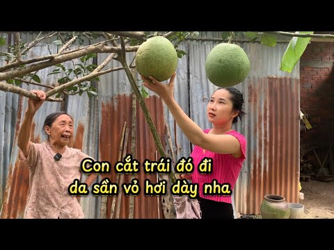 Nay Dung Đi Chợ Tình Cờ Mua Được Rau Ráng ,Lần Đầu Ăn Rau Ráng Xào Ngon Ghê - Em Gái Quê