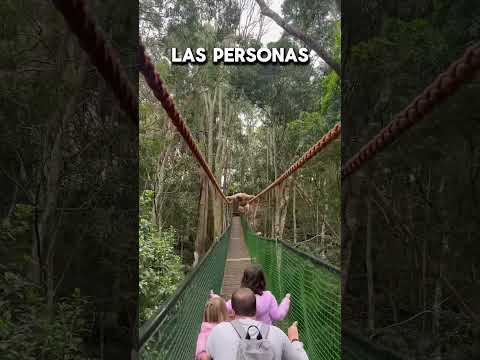 Nunca Olvidarán Este Dia 😱