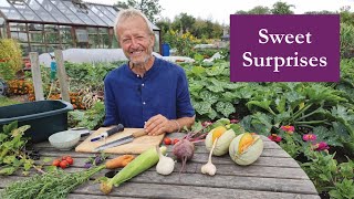 Measuring Brix Levels in Vegetables, Fruits – and a Flower | Surprising Results from No Dig Harvest