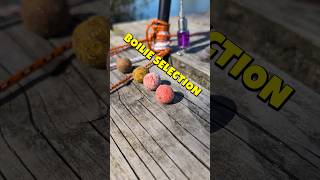 Angeln Karpfenangeln Boilies #fishing #carpfishing #pesca #outdoors #angler #nature #angling