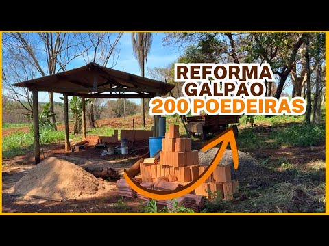 REFORMA GALPÃO para 200 GALINHAS POEDEIRAS