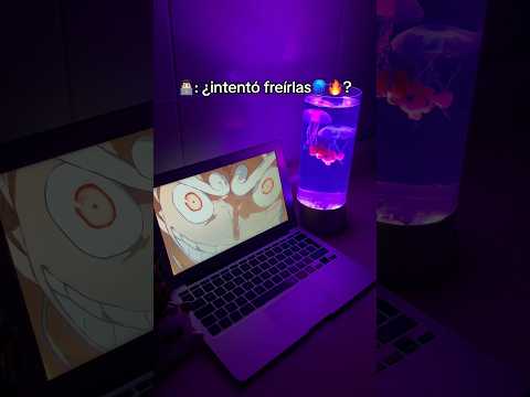 Un cliente intento comerse nuestras medusas contestamos de buena manera☺️#medusas #lamparas #oceano