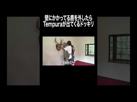 壁にかかってる鹿を外したら Tempuraが出てくるドッキリ