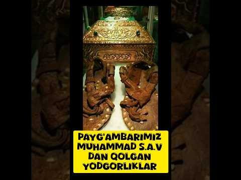 payg'ambarimiz Muhammad s.a.v Muborak muyumlari #shortvideo #iclamic #shortsviral