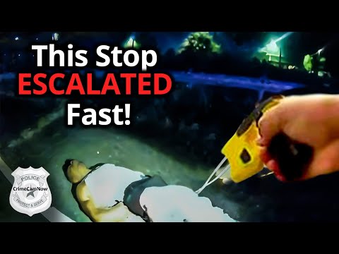 From Calm to Chaos! The 5-Minute Traffic Stop That Went Wrong