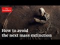 AI and Conservation Efforts