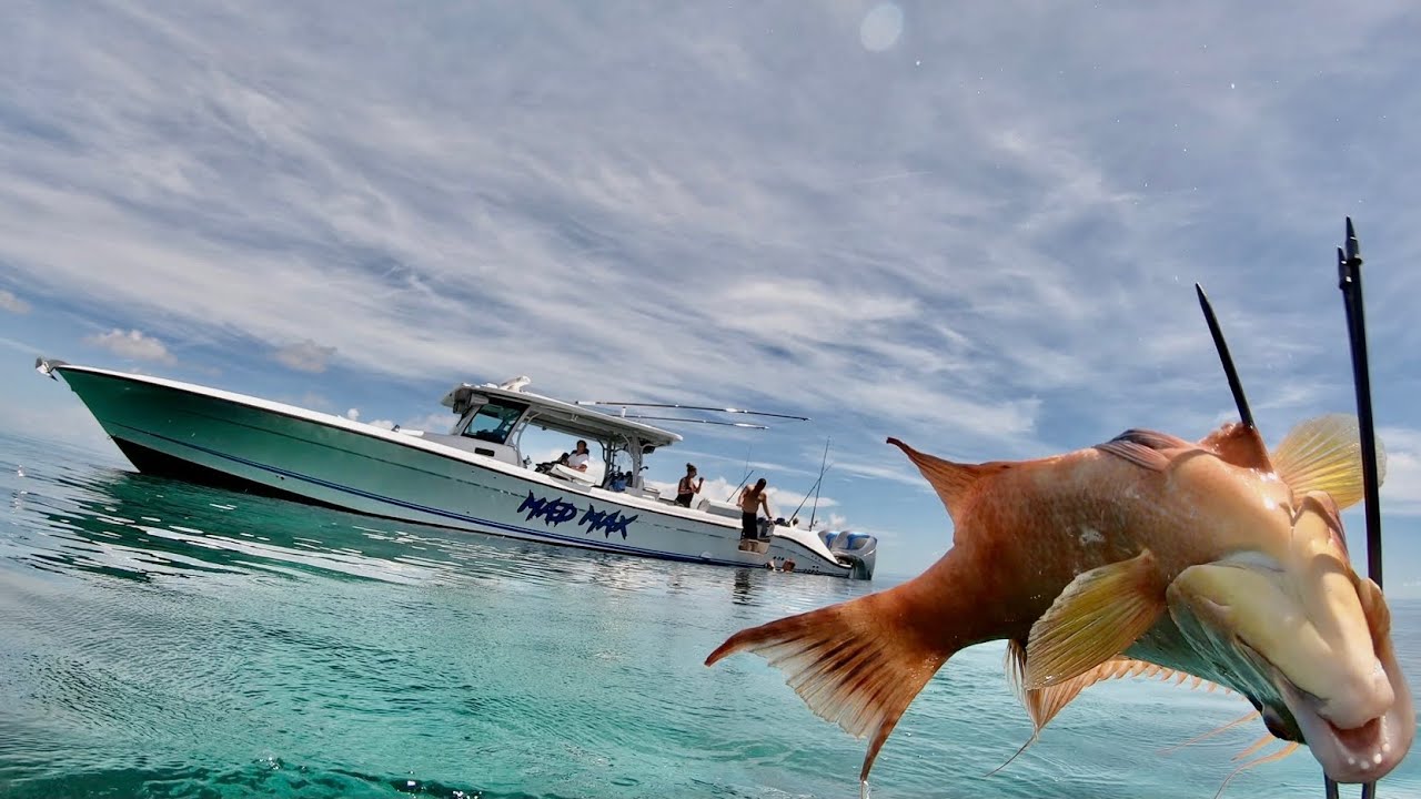 SPEARFISHING in PARADISE (Hogfish Catch Clean & Cook in the Bahamas) - Bluegabe