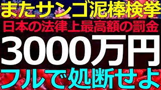 2025-08-17 サンゴ泥棒には日本の法律上個人に対する最高額の罰金が定められている！