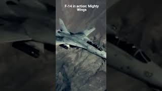 F 14 Tomcat in action: Mighty Wings