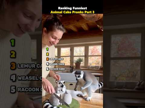Ranking Funniest Animal Cake Pranks Part 3