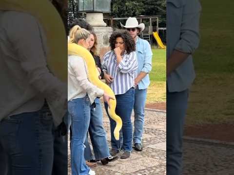 ? Aterrada #luceromijares con una enorme serpiente. ¿La tocará? Compruébalo!