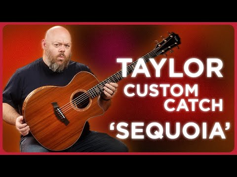 Is Cocobolo The Coolest Tonewood? Taylor's Catch Custom Sequoia with Sinker Redwood