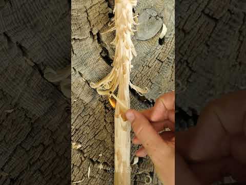 Hidden Hack They Don't Want You to Know 💦 #SmartTrick #Hack #Shorts