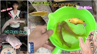 Câu dính cá Ngát KHỦNG nặng 4KG, được tặng Cá Rô Vàng Đột Biến và Thằn Lằn Đuôi Mập / Bảo pet