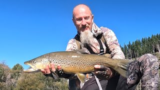 Late Season Visit To A Local River  NZ 🇳🇿