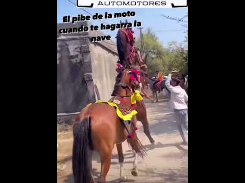 Arre compadre #viral #shortvideo #youtuber #animals 🤔