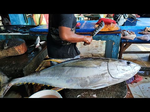 Amazing skills! Cut 23kg yellowfin tuna