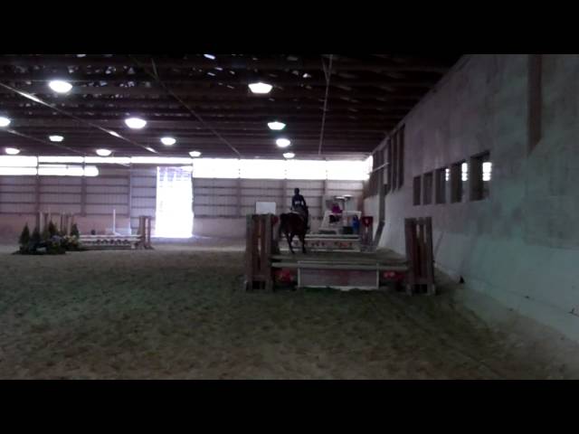 Moriah Patashnik's Winning Ride in Intermediate Fences - 2/23/14