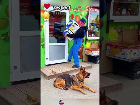 Respect and understanding #youtube #understanding #respect #bekind #kindness #viralvideo #fyp #usa