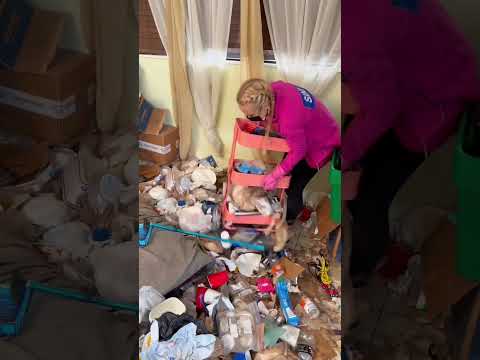 WILD SURPRISES UNDER THE BED #extremecleaning #hoardercleanup #miamicleaning #beforeandafter