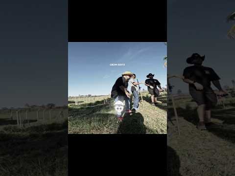 Renato atirou no boto escondido 😮 🔥#shorts