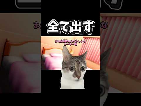 【猫ミーム】全て出す