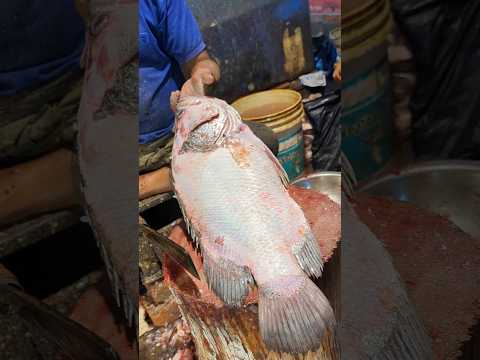 Amazing Bhetki Fish Cutting Live In Fish Market#58shorts