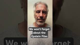 Why are there not more investigations into the Epstein Files?