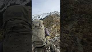 Chasing Freedom