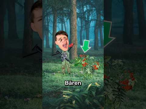 Wenn Du Dich Im Wald Verirrst Tu Dies Um Zu Überleben 😧