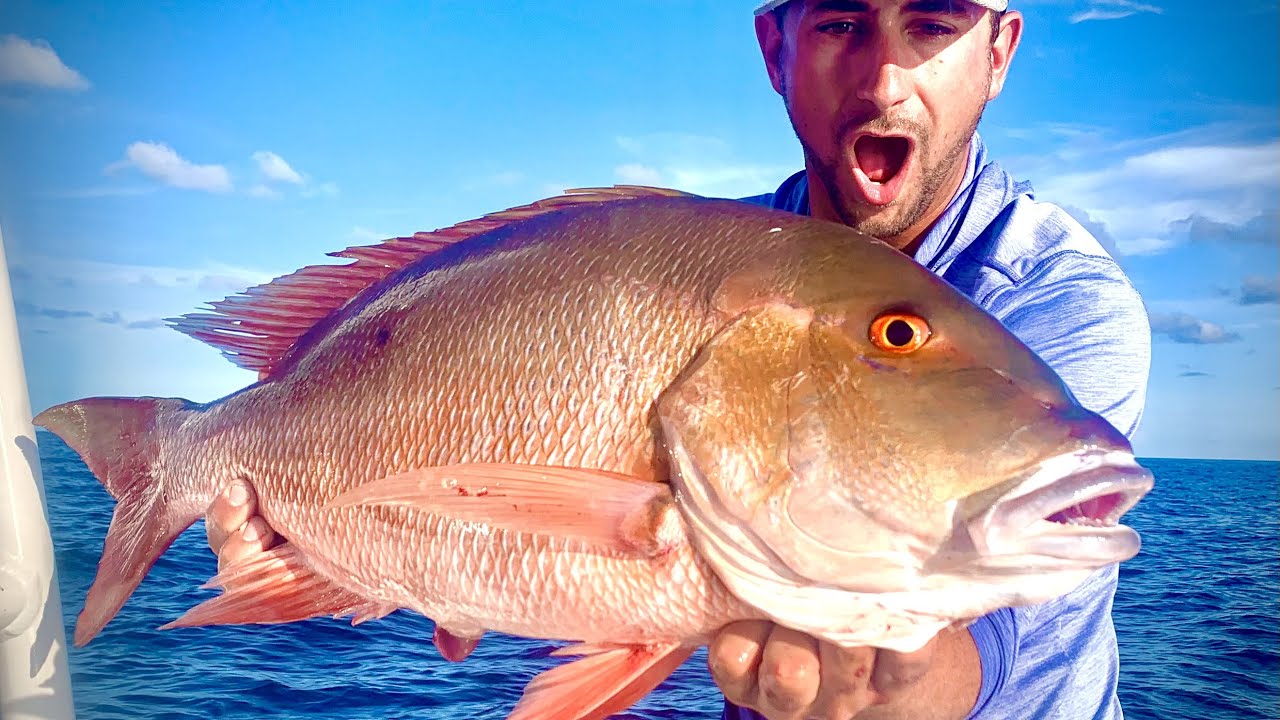 MASSIVE Mutton and SAILFISH Catch Clean Cook Twisted tuna Recipe