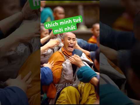 sư thích minh tuệ giảng đạo hôm nay #thichminhtue