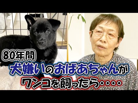 犬嫌いなおばあちゃんがワンコを飼うと豹変した