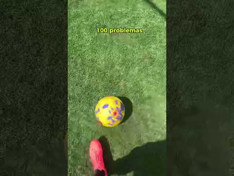 QUANDO ENTRA EM CAMPO FICA 100 PROBLEMAS‼️