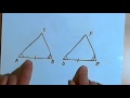 Triangle Congruence: SSS, SAS, ASA, and AAS Explained