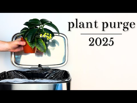 Throwing Out My Plants | Plant Purge 2025
