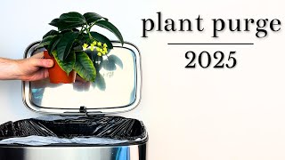 Throwing Out My Plants | Plant Purge 2025