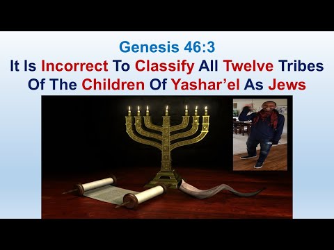 It Is Incorrect To Classify All Twelve Tribes Of The Children Of Yasharel As Jews - Genesis 46:3