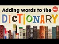 Understanding the Evolution of Dictionaries