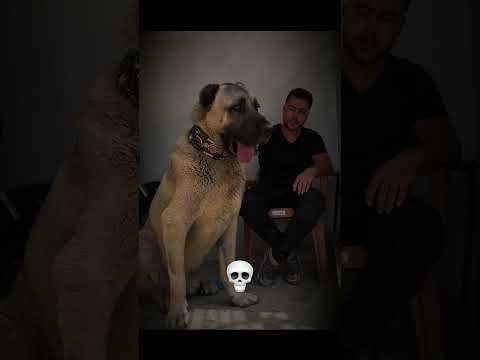 Power Of Transformation V2 ๐