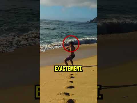 NE PAS APPUYER SUR LE SON⚠️‼️