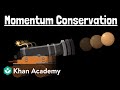 Momentum and Its Conservation Principles